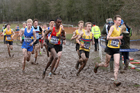 Boys under-15s 2018 British Inter Counties Cross Country Champs., Prestwold Hall, Loughborough. Photo: David T. Hewitson/Sports for All Pics
